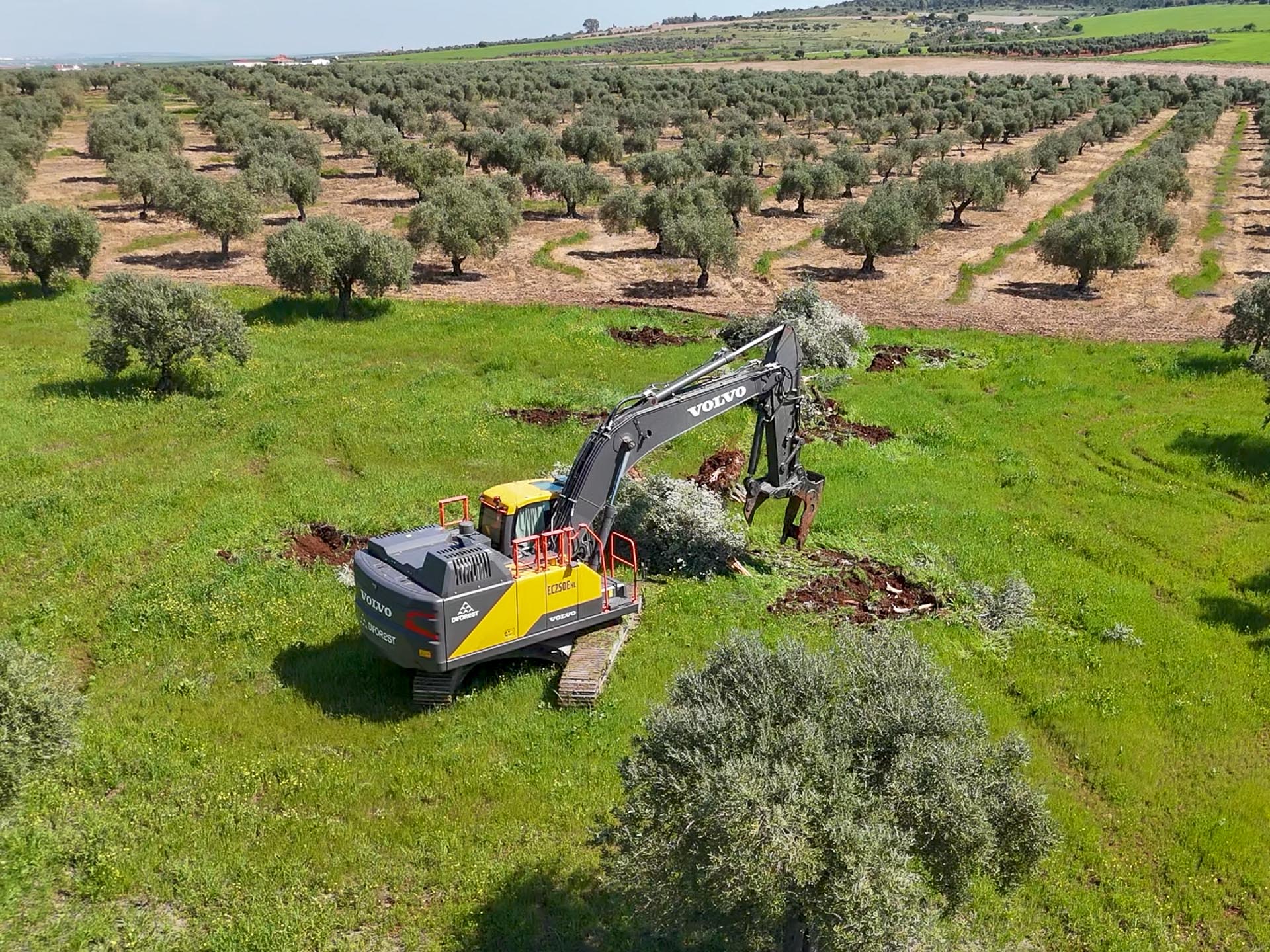 Cambio de cultivo agrícola: cómo planificar el arranque de una plantación
